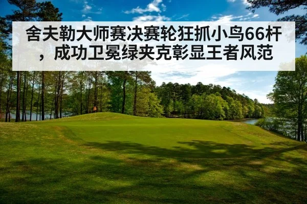 舍夫勒大师赛决赛轮狂抓小鸟66杆，成功卫冕绿夹克彰显王者风范